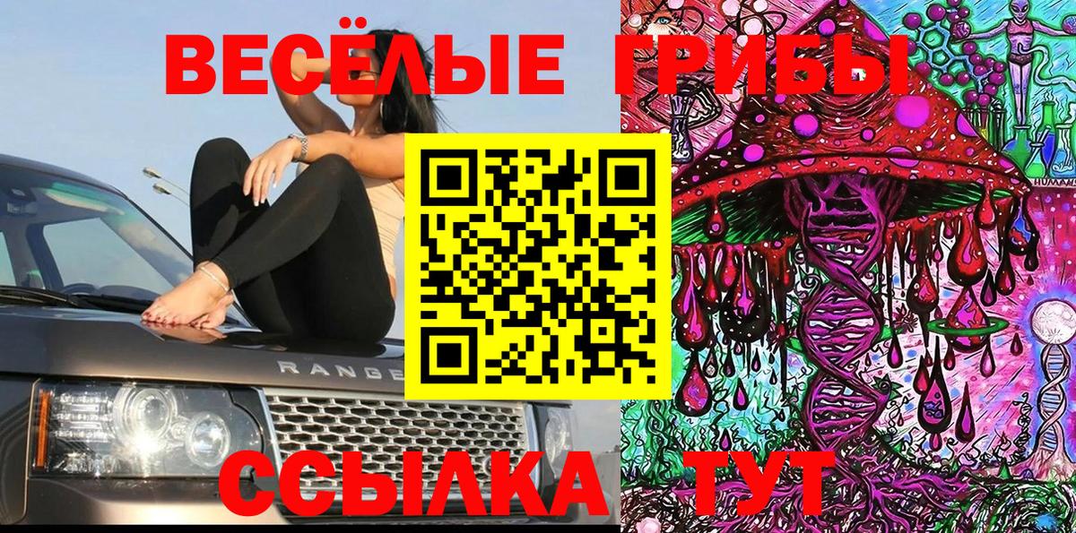 Псилоцибиновые грибы GOLDEN TEACHER  Вход с VPN  Мурино 