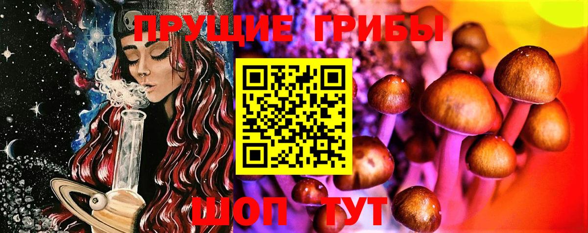Галлюциногенные грибы Magic Shrooms Мурино